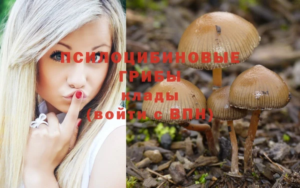 гидропоника Армянск