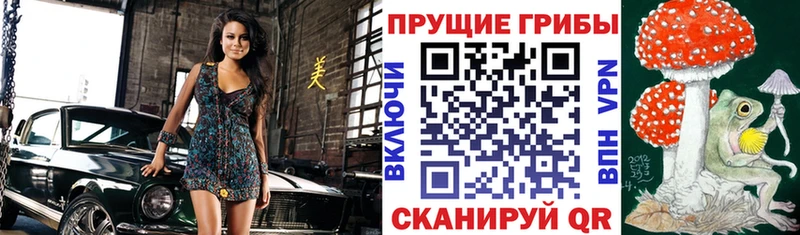 Купить где  Железноводск  Галлюциногенные грибы Cubensis 