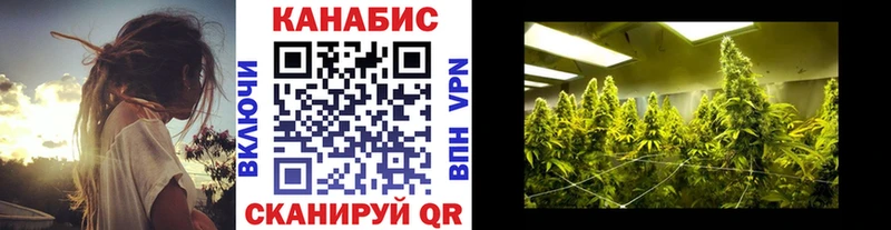 Конопля гибрид  Купить  Железноводск 
